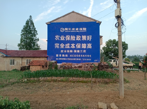 兰考墙体广告为何受追捧？